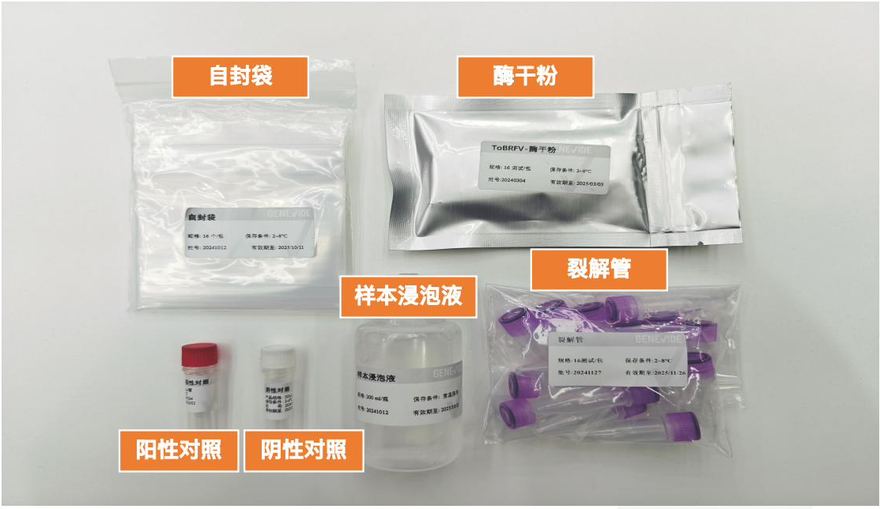 实拍 · 取出试剂盒组分